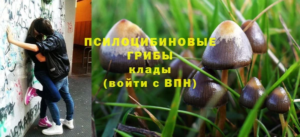 мдпв Киренск